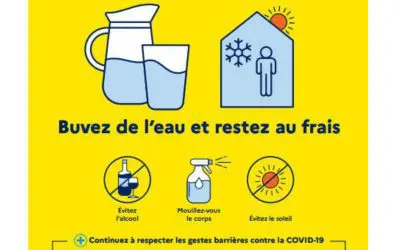 ATTENTION CANICULE