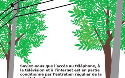 Elagage pour rester connecté